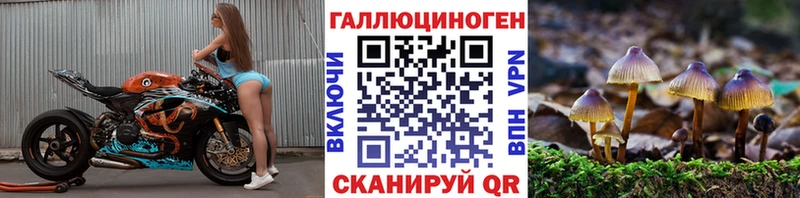 наркошоп Камышлов Псилоцибиновые грибы Psilocybe