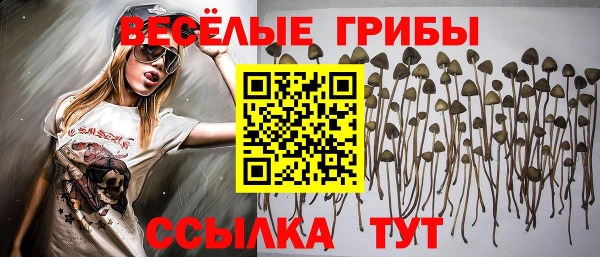 Камышлов  Галлюциногенные грибы Magic Shrooms  Вход с VPN 