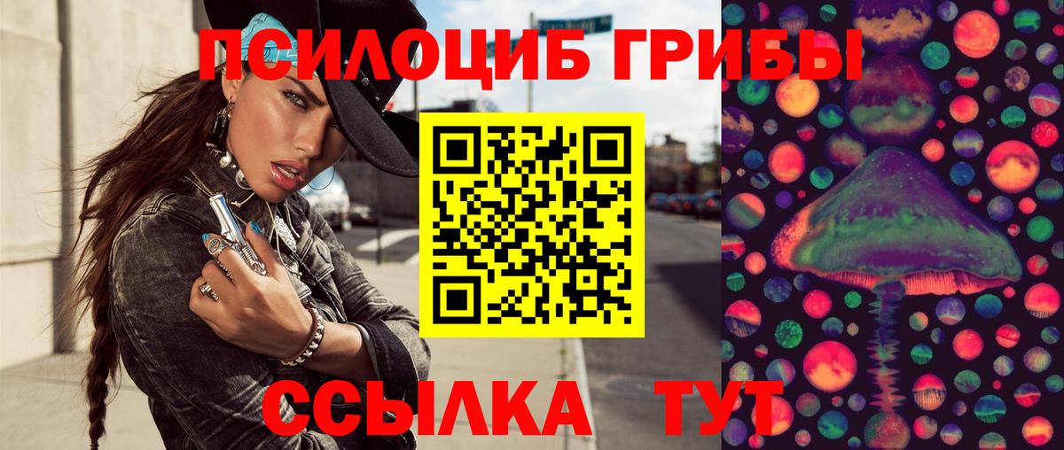 Галлюциногенные грибы GOLDEN TEACHER  Камышлов  как найти закладки  Галлюциногенные грибы ЛСД 