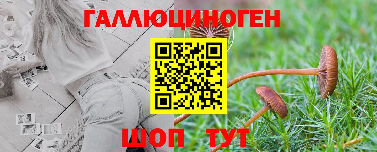 Псилоцибиновые грибы GOLDEN TEACHER Камышлов